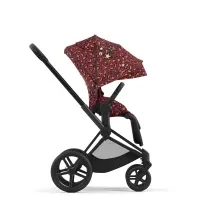 cyb22inty270rockstarpriammablrosrcanopy18069e32ce555d70